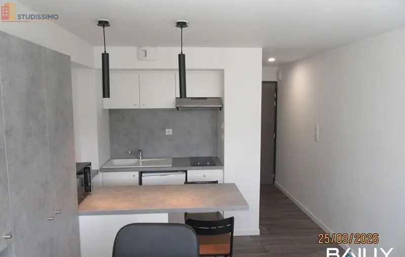 Studio meublé 24m² La Roche-sur-Yon - Meublé, DPE C - Photo 5