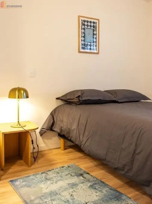 Studio meublé 20m² La Roche-sur-Yon - Meublé, DPE D - Photo 40