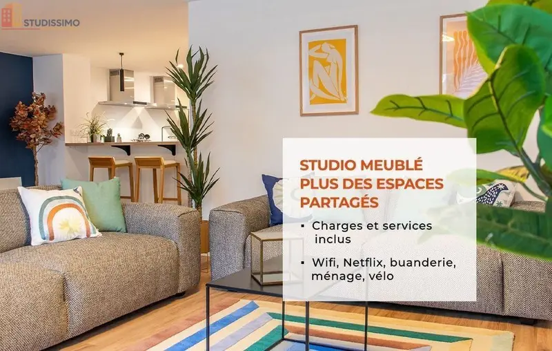 Studio meublé 20m² La Roche-sur-Yon - Meublé, DPE D - Photo 25