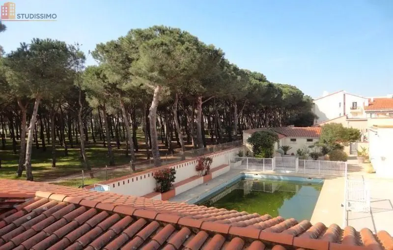 Studio 22m² Argelès-sur-Mer - 1er étage - Photo 5