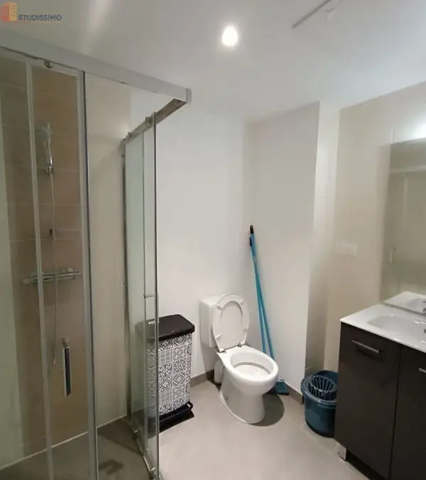 Studio meublé 19m² La Roche-sur-Yon - Duplex, DPE C - Photo 3