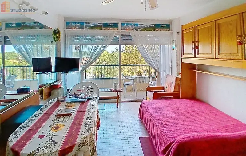 Studio 29m² Argelès-sur-Mer - Étage 2/5, DPE D - Photo 4
