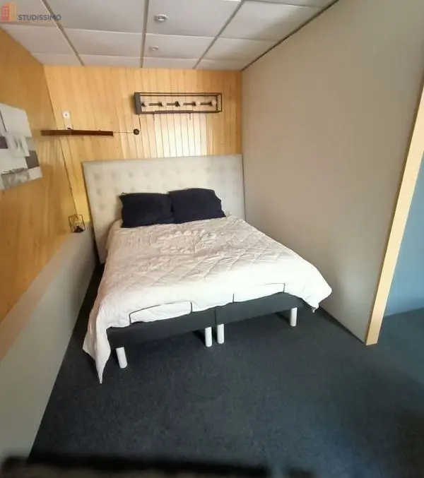 Studio 55m² Mouilleron-le-Captif - Meublé, lumineux - Photo 5