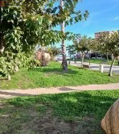 Studio 27m² Le Barcarès - Vue mer, lumineux - Photo 9