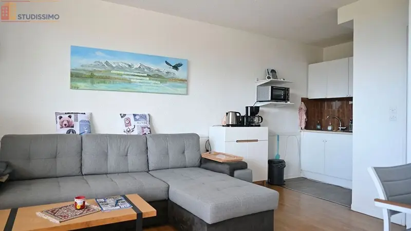 Studio 23m² Font-Romeu-Odeillo-Via - Lumineux, 1er étage - Photo 13