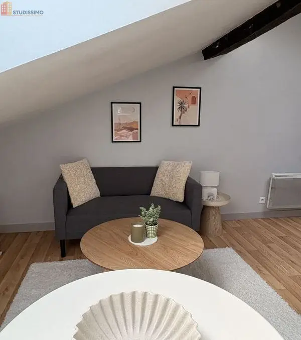 Studio meublé 17m² Poitiers - Meublé, lumineux - Photo 6