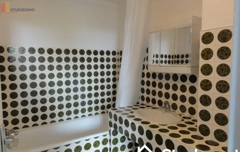 Studio meublé 20m² Poitiers - Meublé, DPE D - Photo 3