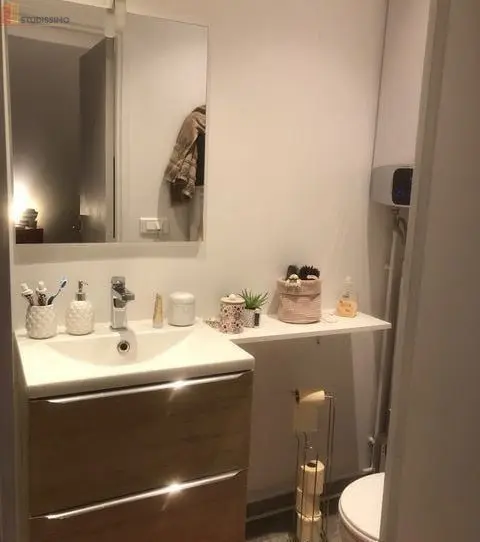 Studio 17m² Poitiers Pont-Neuf - Meublé, lumineux - Photo 2