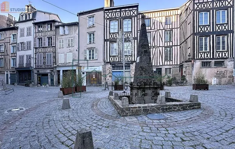 Studio 21m² Limoges 87000 - Étage élevé, lumineux - Photo 7