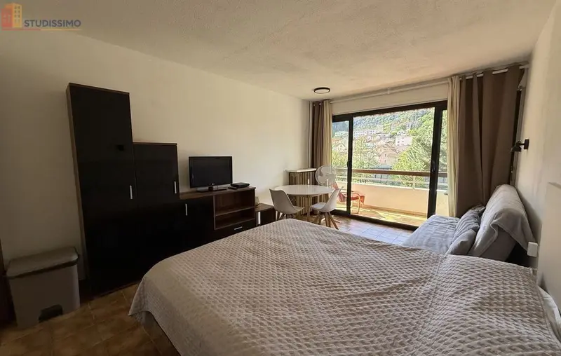 Studio 26m² Amélie-les-Bains-Palalda - 1er étage - Photo 11