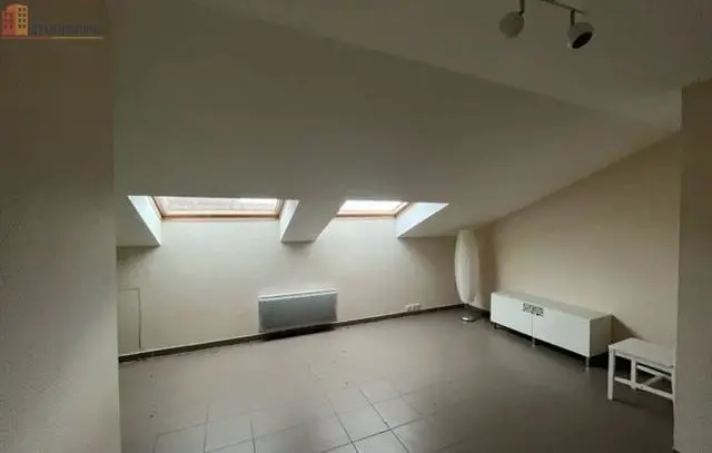 Studio 24m² Rambervillers - Étage élevé, lumineux - Photo 3