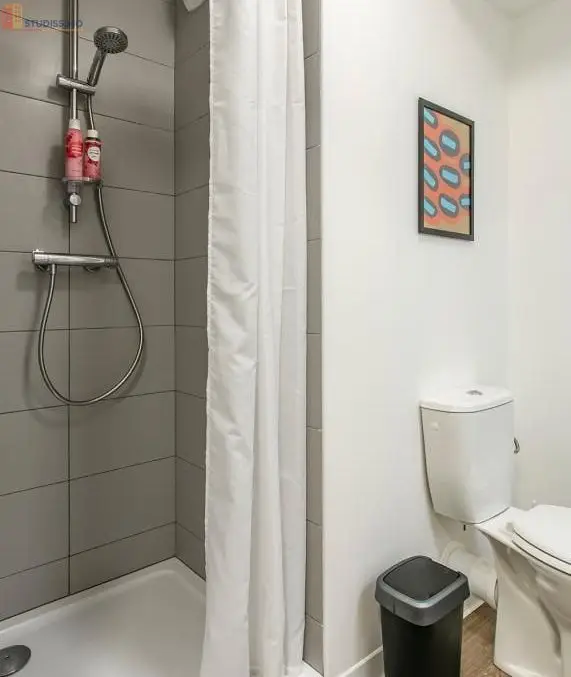 Studio meublé 18m² Limoges centre - Meublé, DPE C - Photo 10