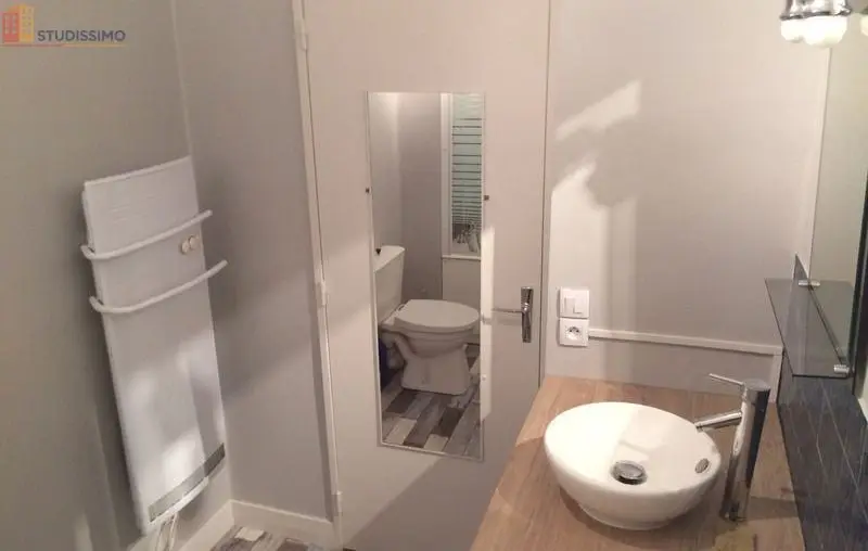 Studio meublé 33m² Limoges 87100 - Lumineux, dernier étage - Photo 6
