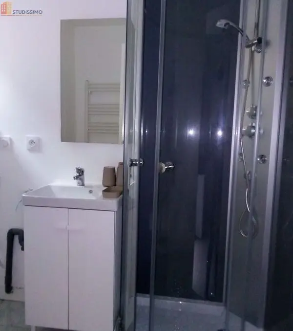 Studio meublé 31m² Saint-Junien - Meublé, DPE D - Photo 7