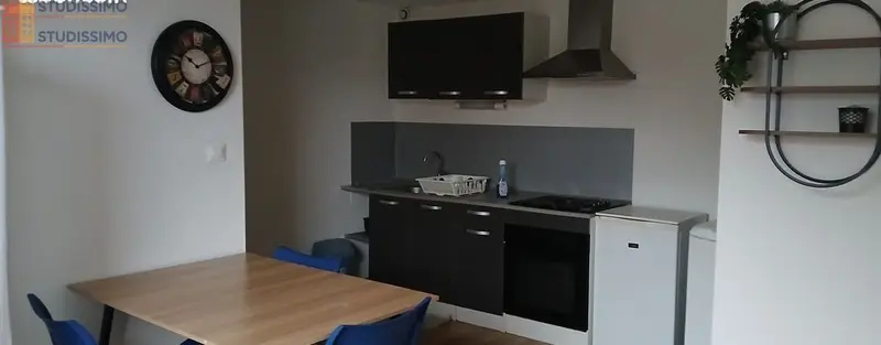 Studio meublé 21m² Mirecourt - Meublé, DPE D - Photo 2