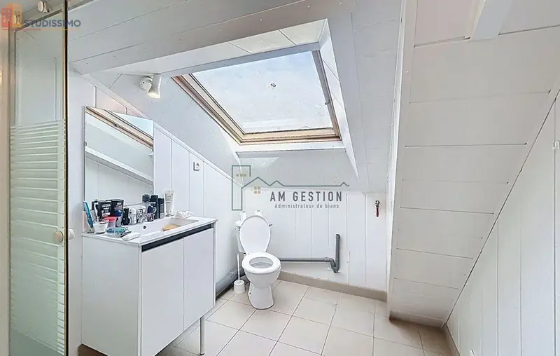 Studio 31m² Ambazac - Étage élevé, lumineux - Photo 3