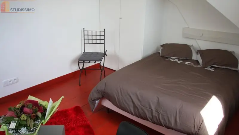 Studio 25m² Colmar - Jardin, proche gare et Petite Venise - Photo 10