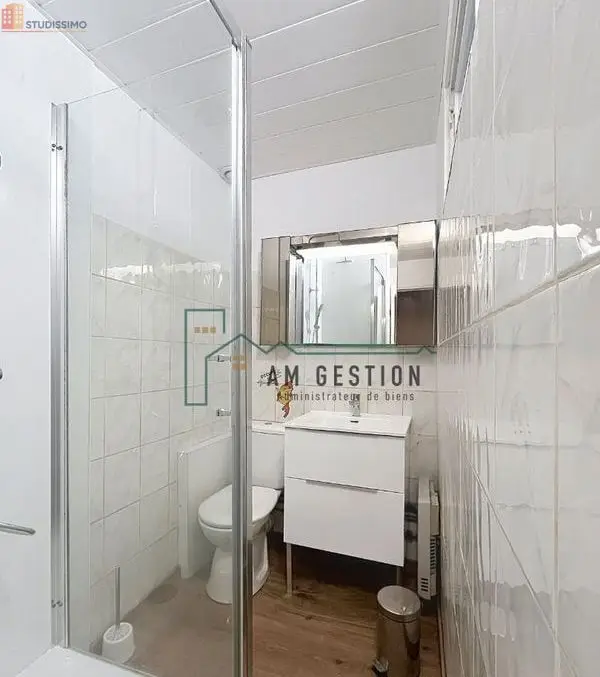 Studio meublé 24m² Aixe-sur-Vienne - Meublé, DPE C - Photo 4