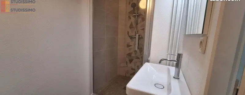 Studio meublé 18m² Limoges - Meublé, DPE C - Photo 8