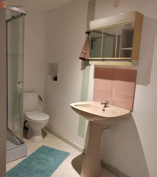 Studio meublé 20m² Toucy 89130 - Centre-ville - Photo 1