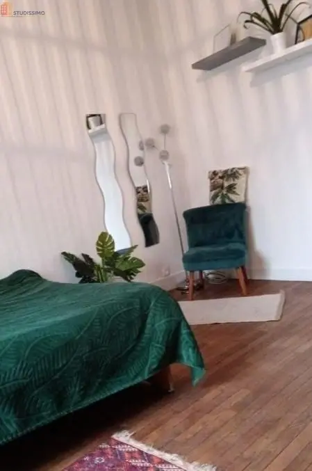 Studio meublé 18m² Limoges 87100 - Meublé, DPE D - Photo 3