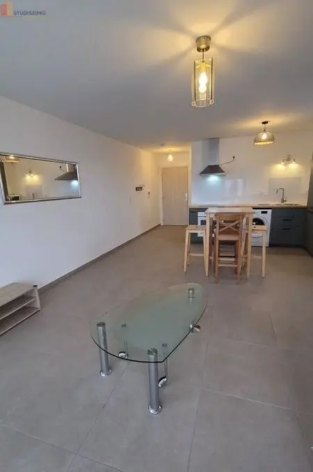 Studio 35m² Colmar - Étage élevé, DPE C - Photo 5