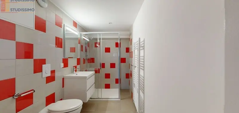 Studio 46m² Bavilliers - Spacieux, lumineux - Photo 6