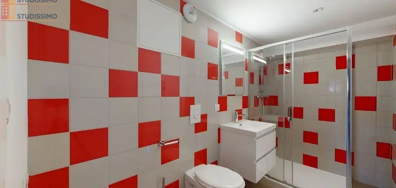 Studio 46m² Bavilliers - Spacieux, lumineux - Photo 5