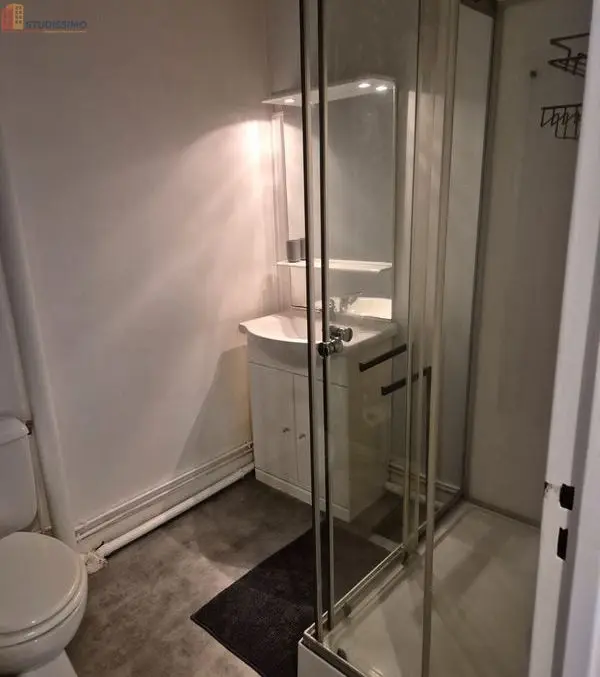 Studio meublé 31m² Limoges centre - Grande terrasse - Photo 1