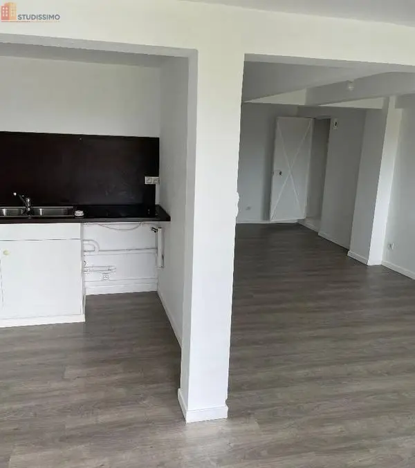 Studio 45m² Saint-Léonard-de-Noblat - Grand, jardin - Photo 2