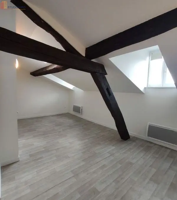 Studio 25m² Limoges centre-ville - grand séjour, lumineux - Photo 3