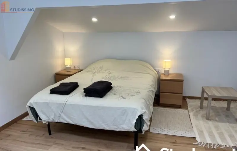 Studio meublé 19m² Orsay - Meublé, 1 pièce - Photo 2