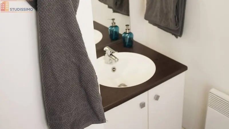 Studio 18m² Massy 91300 - Meublé - Photo 3