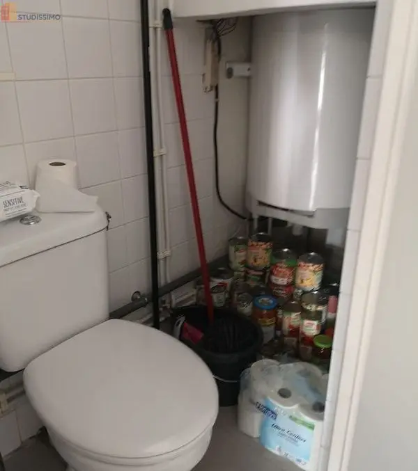 Studio meublé 18m² Ballainvilliers 91160 - Meublé, DPE D - Photo 9