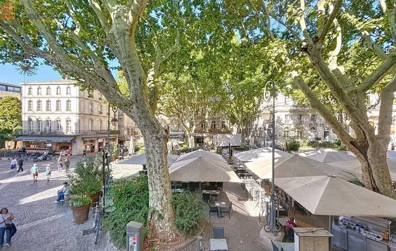 Studio 42m² Avignon - Lumineux, proche centre-ville - Photo 5