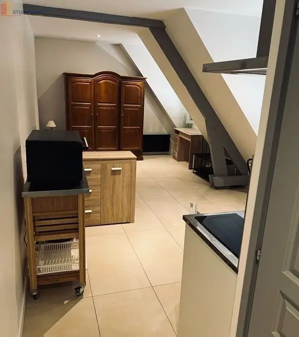 Studio meublé 30m² Bures-sur-Yvette - Meublé, DPE A - Photo 2