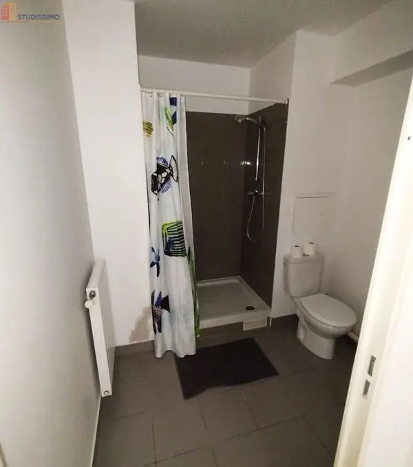 Studio meublé 30m² Juvisy-sur-Orge - Grand, lumineux - Photo 1