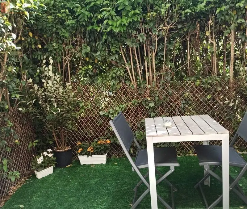 Studio 25m² Avignon - Terrasse, parking - Photo 1