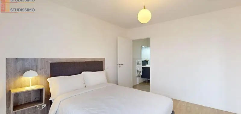 Studio meublé 50m² Clamart 92140 - Lumineux, spacieux - Photo 6