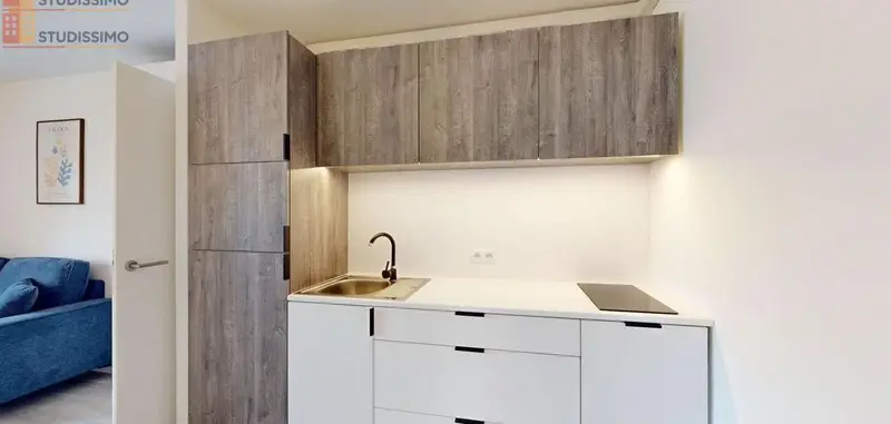 Studio meublé 50m² Clamart 92140 - Lumineux, spacieux - Photo 1