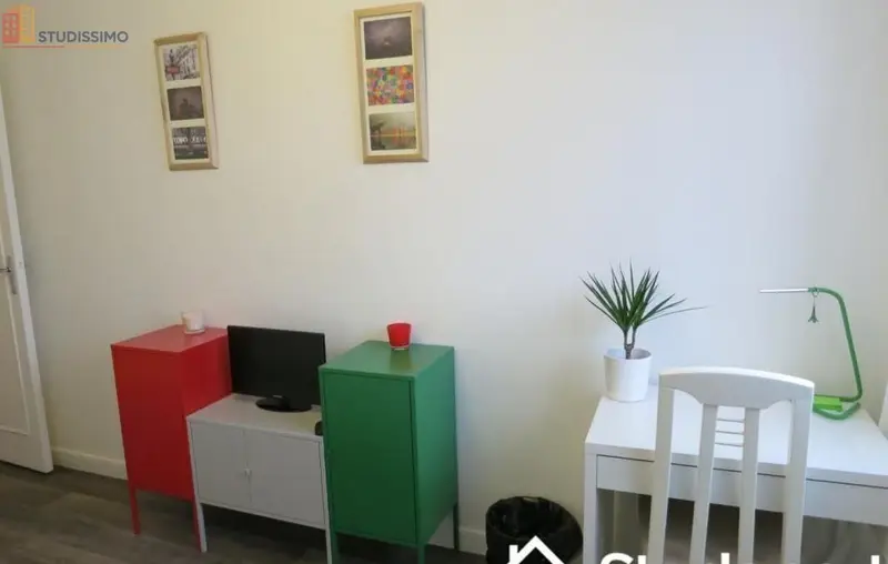 Studio meublé 12m² Issy-les-Moulineaux - Lumineux, 9e étage - Photo 6