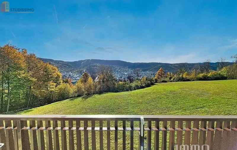Studio 20m² Gérardmer - DPE D, lumineux - Photo 1