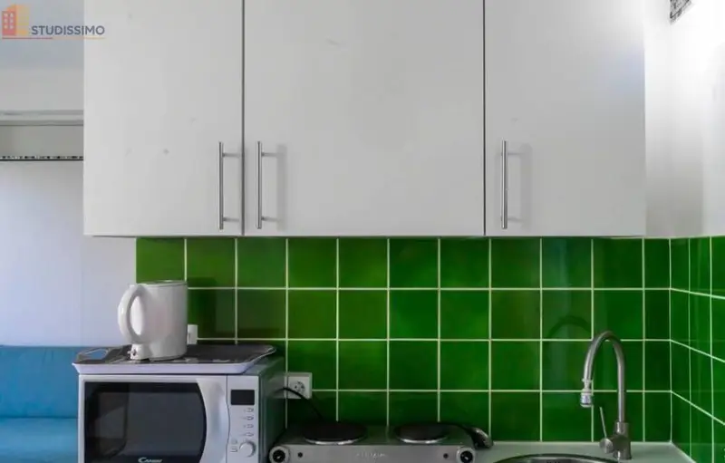 Studio 25m² Issy-les-Moulineaux - étage élevé, DPE C - Photo 11