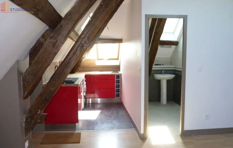 Studio 27m² Villeneuve-la-Guyard - Lumineux - Photo 3
