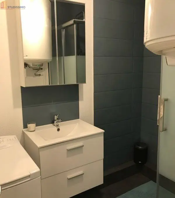 Studio 25m² Châtenay-Malabry - Centre-ville, meublé - Photo 3