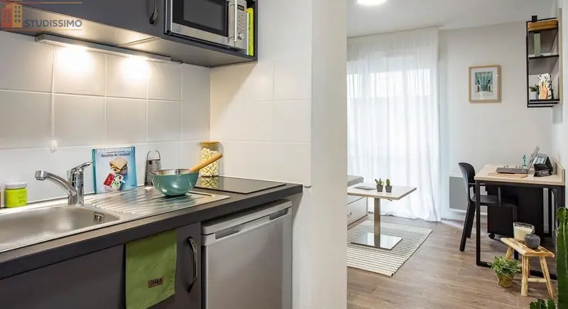 Studio meublé 17m² Saint-Denis 93380 - Meublé, DPE A - Photo 4
