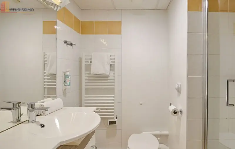 Studio meublé 20m² Nogent-sur-Marne - Meublé, DPE B - Photo 3