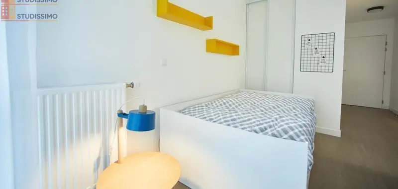 Studio 20m² Villejuif - Lumineux, proche transports - Photo 4