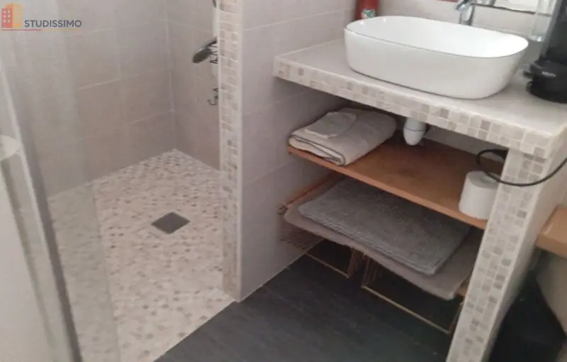 Studio meublé 18m² Charenton-le-Pont - Meublé, DPE D - Photo 1