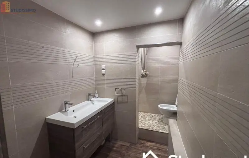 Studio 1m² Chevilly-Larue - Meublé, lumineux - Photo 1